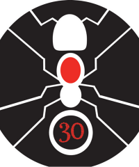 30 Formiche